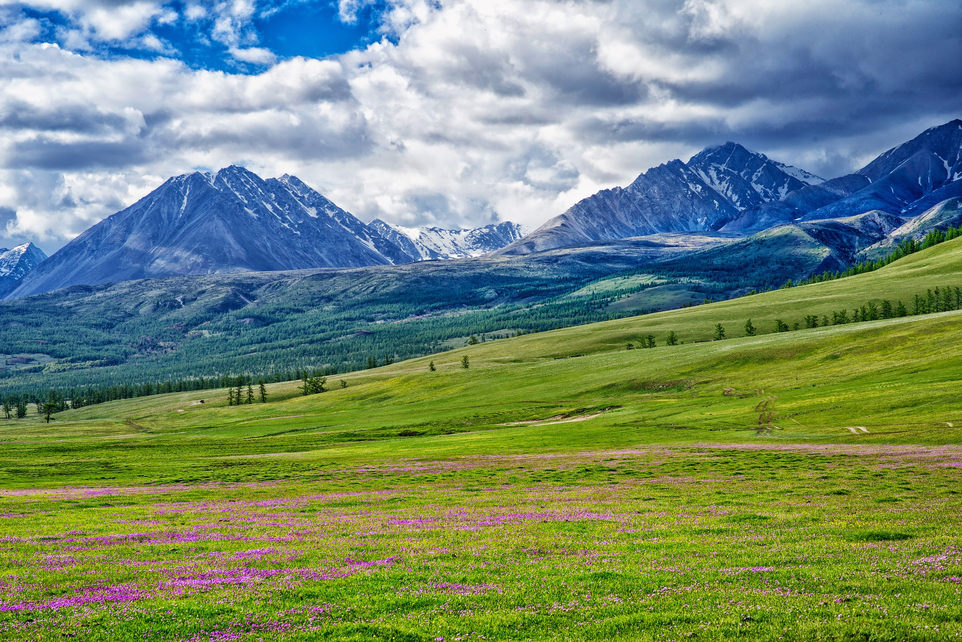 Mongolian mountain landscape